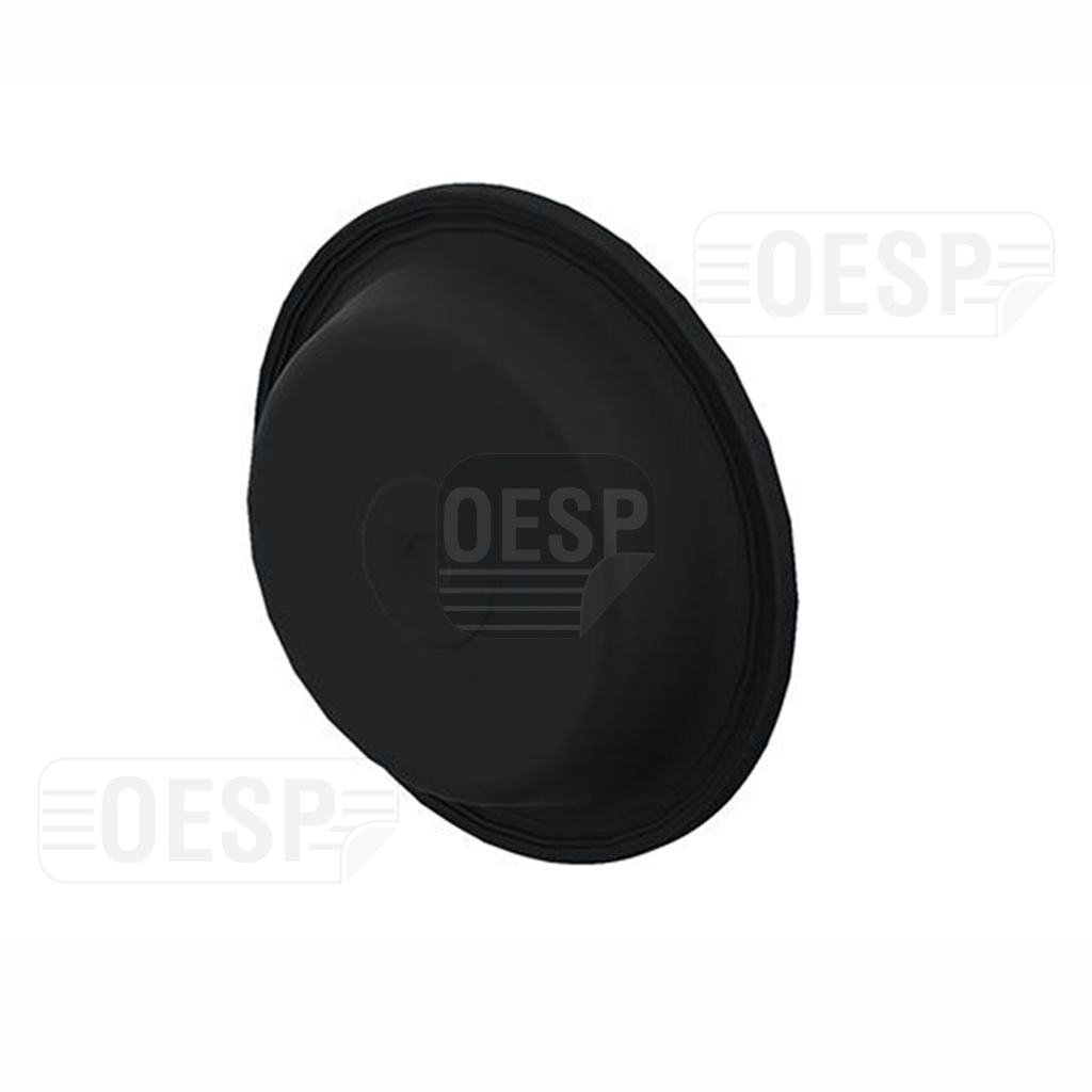 DIAPHRAGM