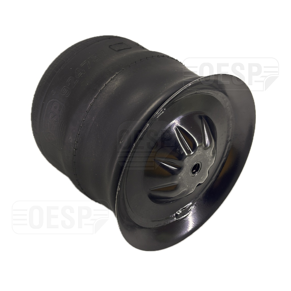 924757.02 K SÜSP.KÖRÜĞÜ PİSTONLU