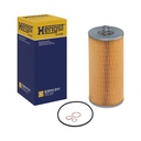 Hengst E251H D11 D630974001-001