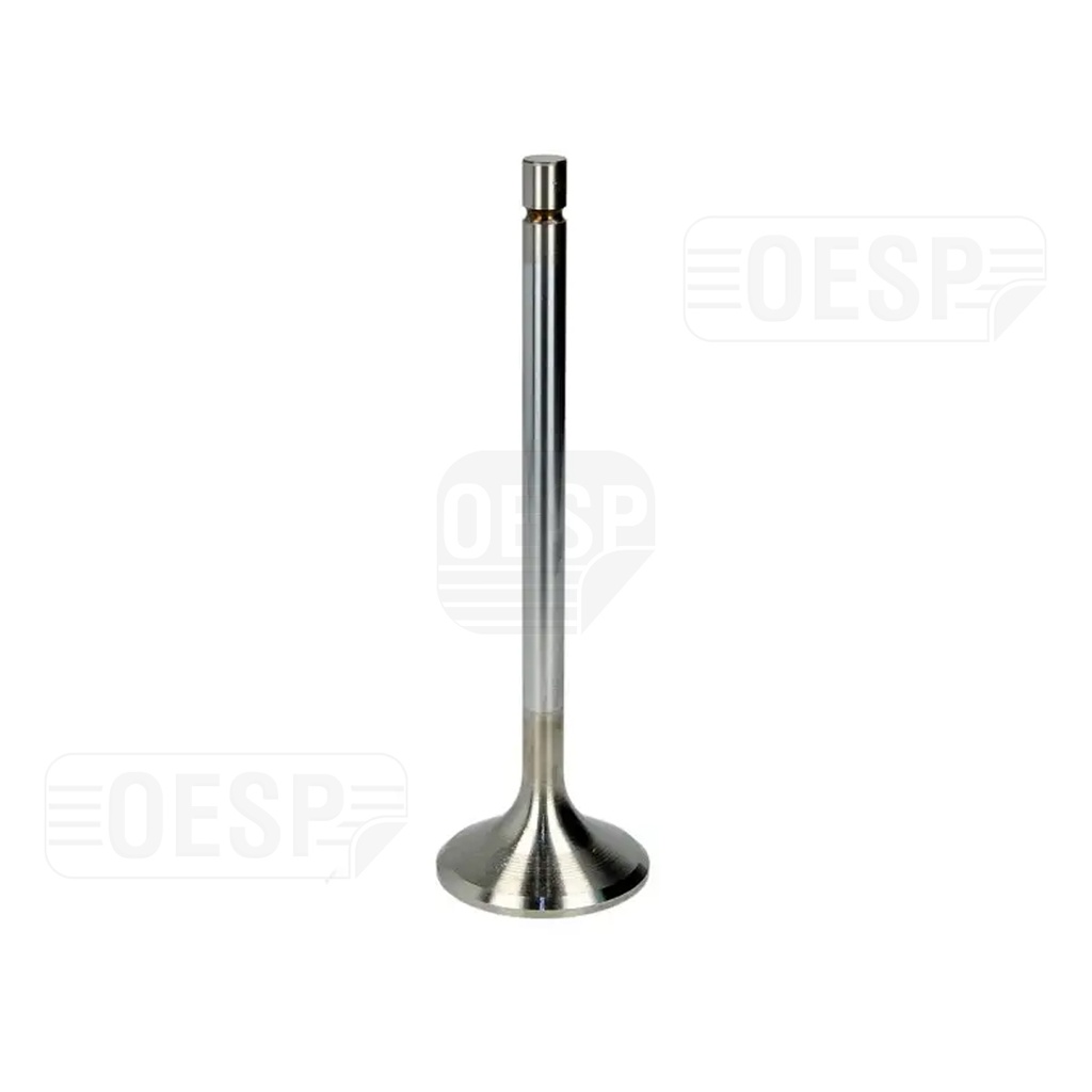 EXHAUST VALVE