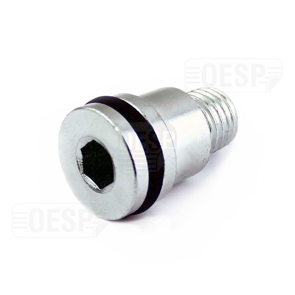 HUILE CARTER PLUG