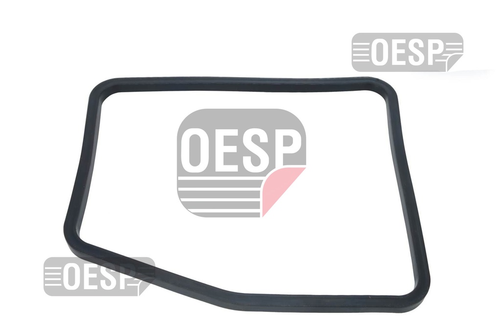 CRANKCASE GASKET TGX