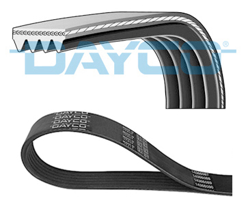 V-RIBBED CORREA IVECO