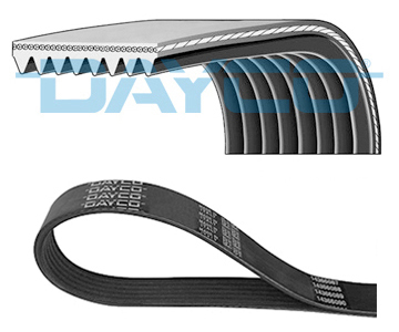 V-RIBBED BELT DAF