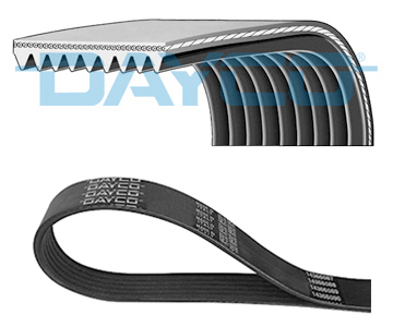 V-RIBBED RIEM DAF