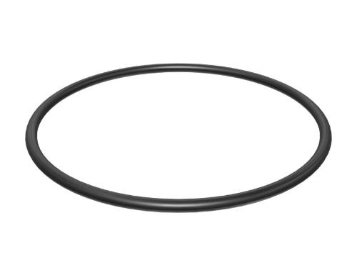139.07MM INSIDE DIAMETER RETÉN-O-ANILLO
