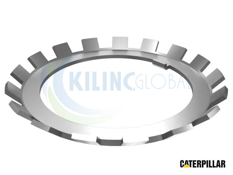 Bearing Nut Lockwasher
