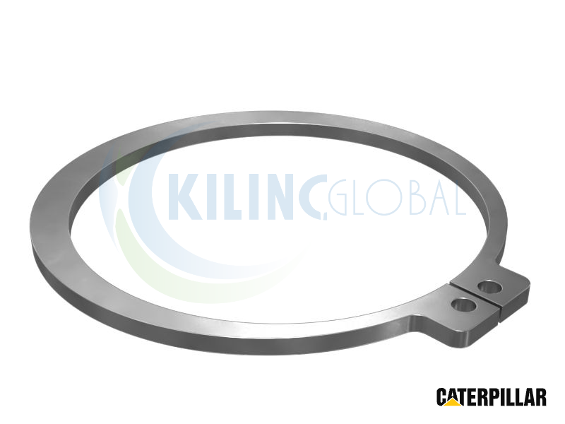 ANILLO-RETAINING