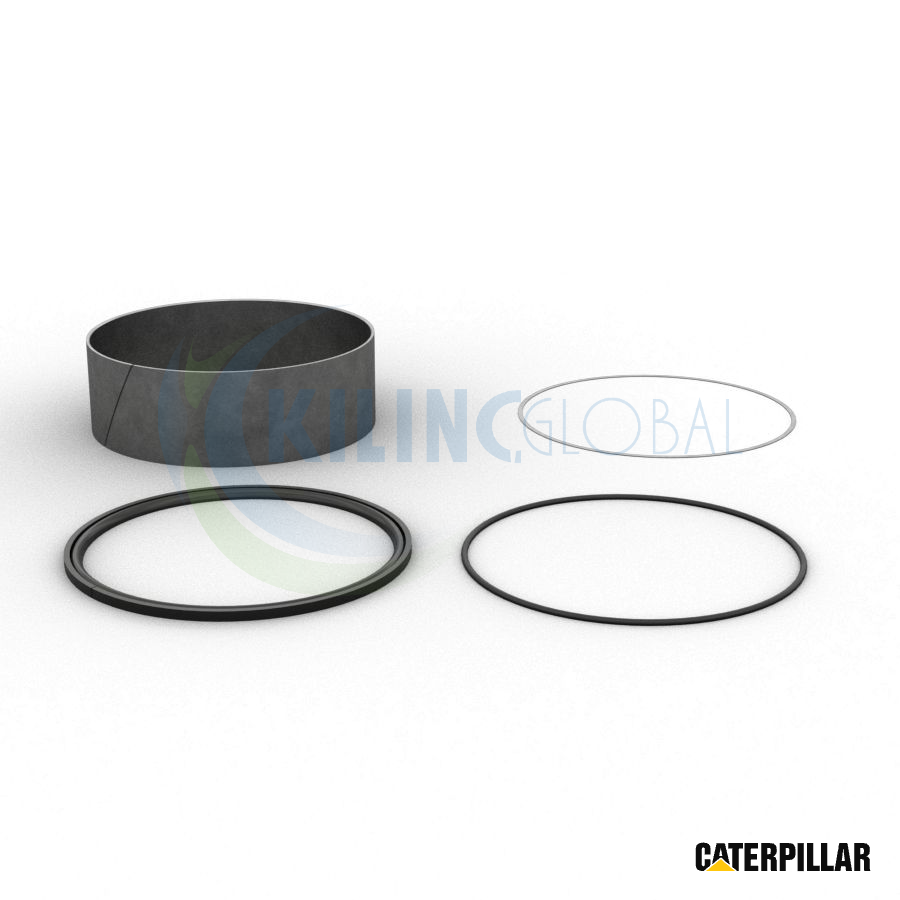 HYDRAULIC CILINDRO RETÉN KIT - STANDARD TAMAÑO