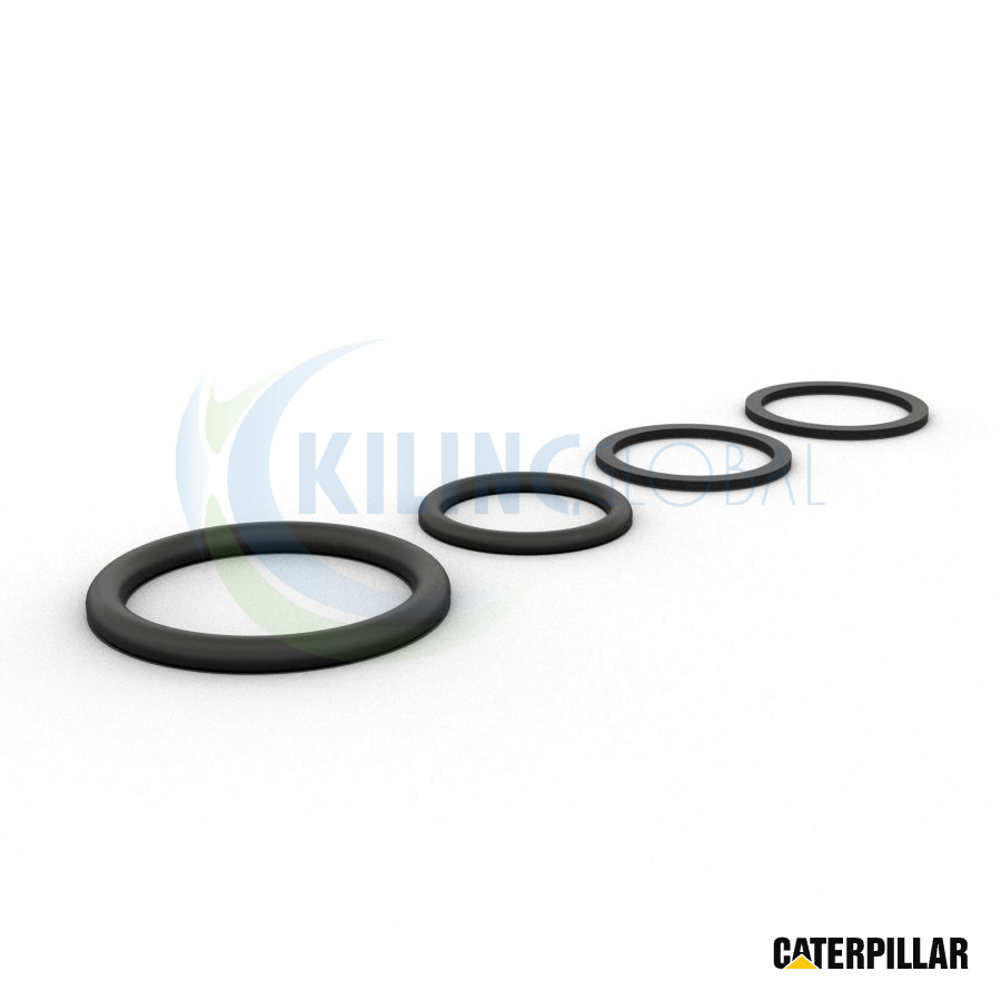 Hydraulic Cylinder Seal Kit