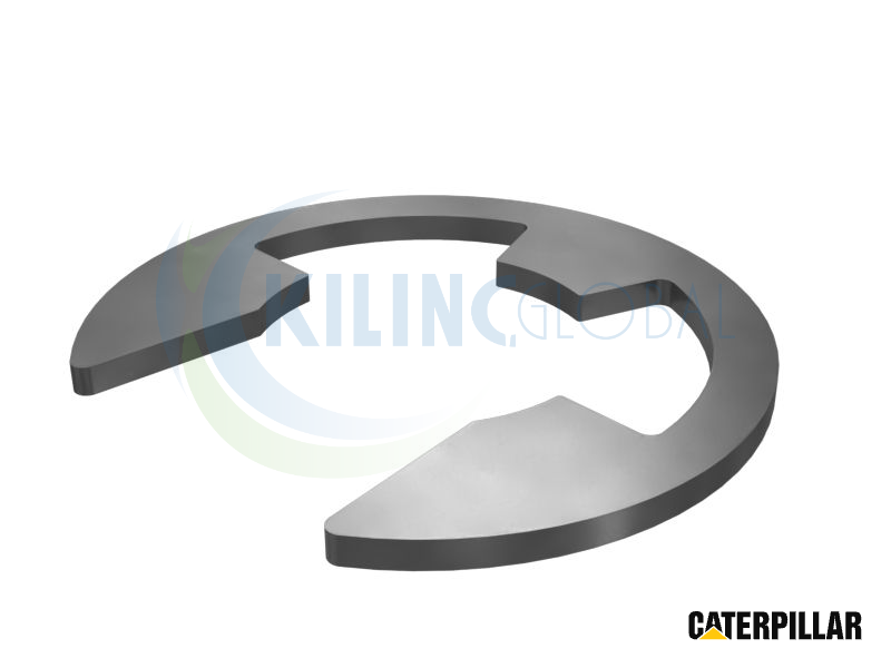 ANILLO-RETAINING