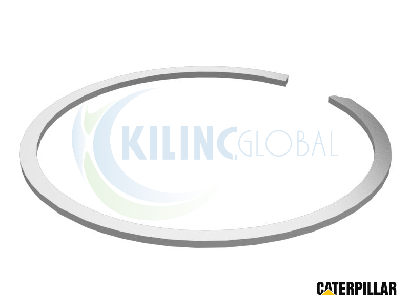 ANILLO-RETAINING