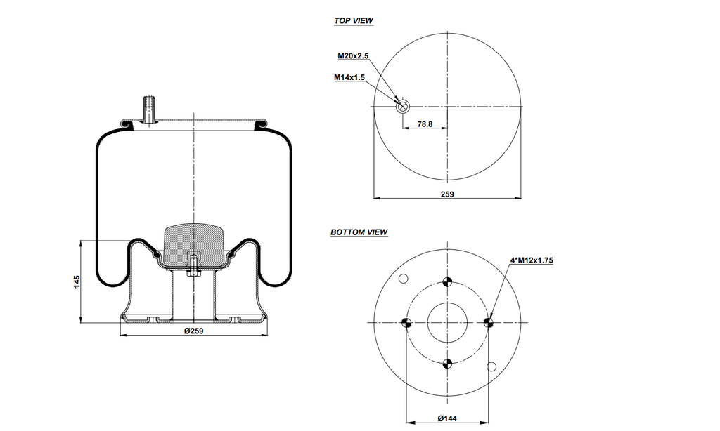 920081 C Air Spring Steel Piston