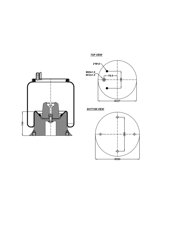 926247 CPP Air Spring Plastic Piston