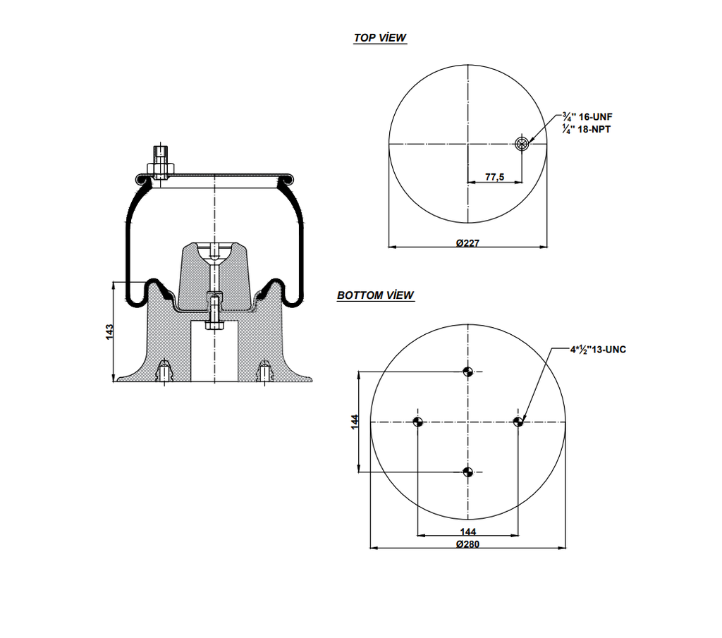 928944  CPP Air Spring Plastic Piston