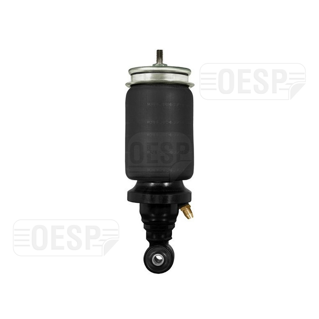 CABIN AIR SPRINGS  BACK