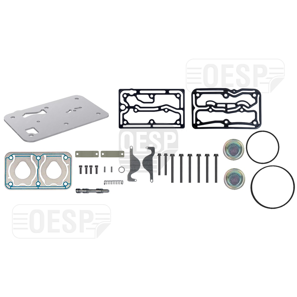 REPAIR KIT WITH BUSHING & PLATE, COMPRESSOR