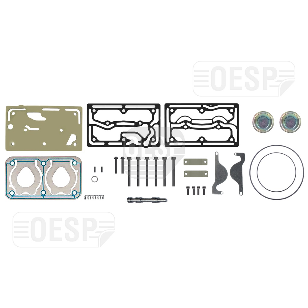 REPAIR KIT WITH BUSHING & PLATE, COMPRESSOR