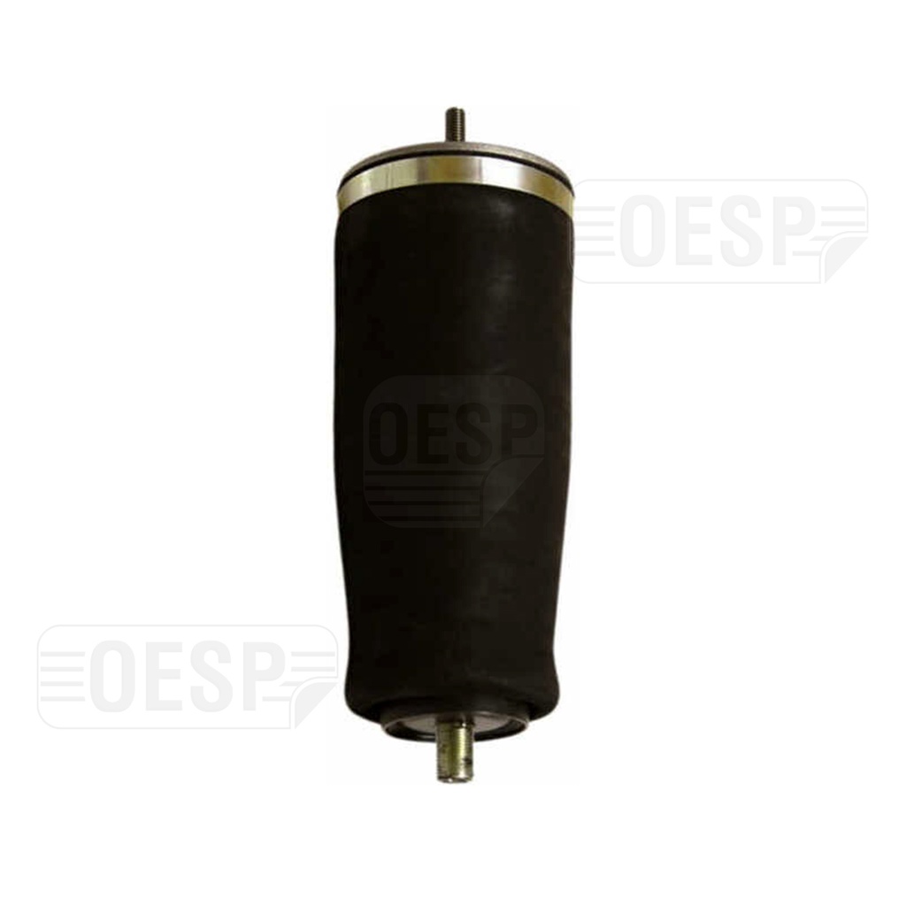 CAB AIR SPRING WITH ABSORBER