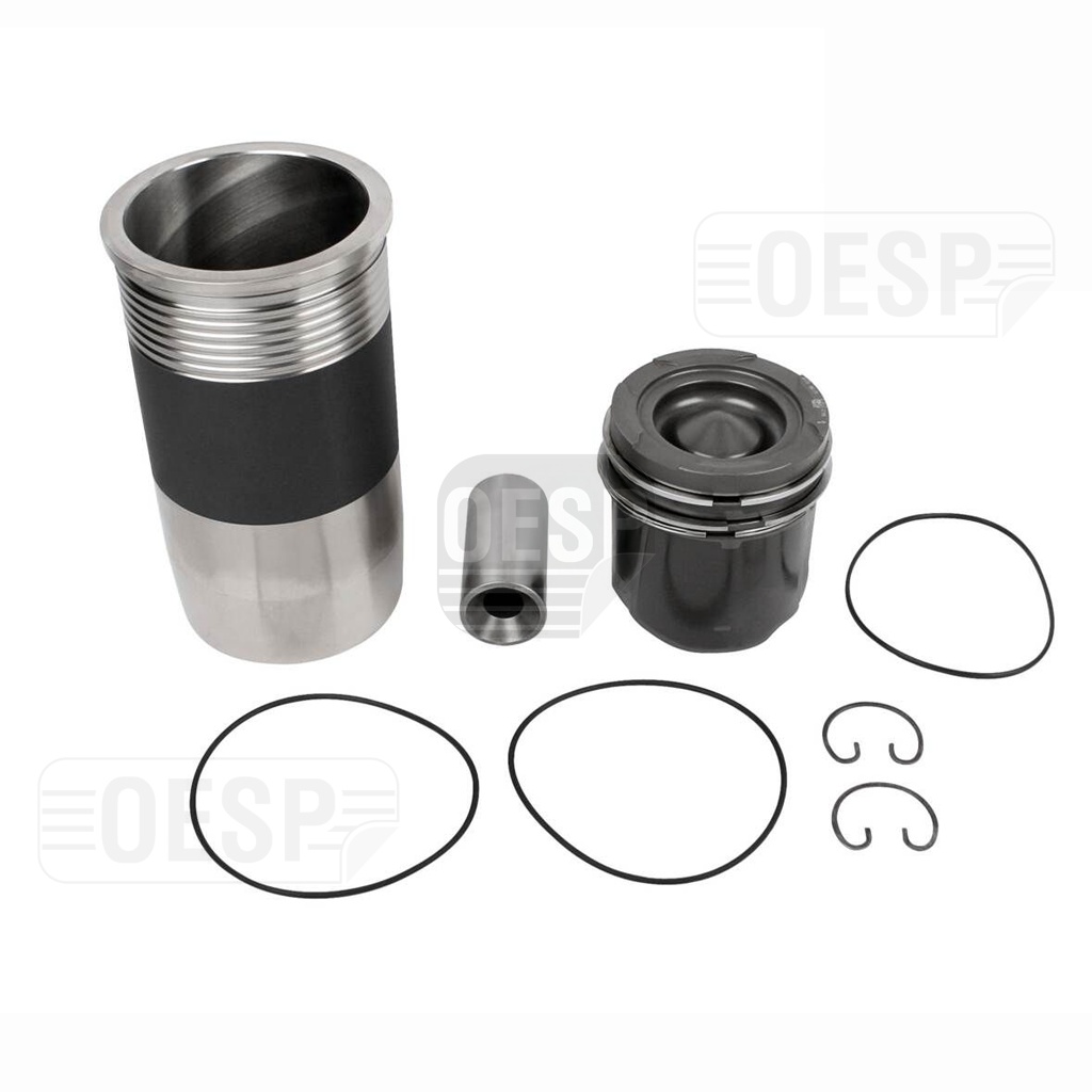 ASSEMBLE كامل طقم D 2876 LF12 EURO III C.RAIL