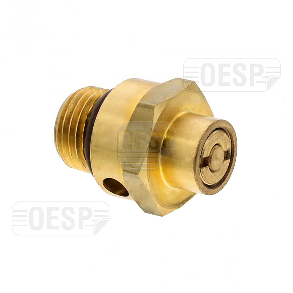 Emniyet Valfi (51.01.065)