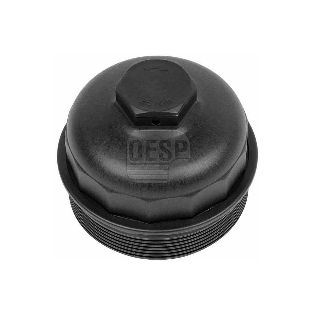 FUEL FILTER COVER (51125046003)