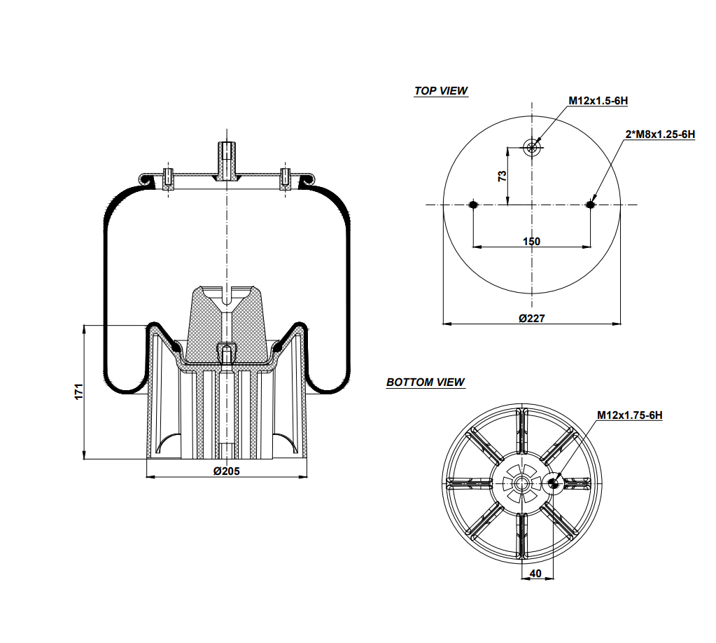 926318-01 CPP Air Spring Plastic Piston