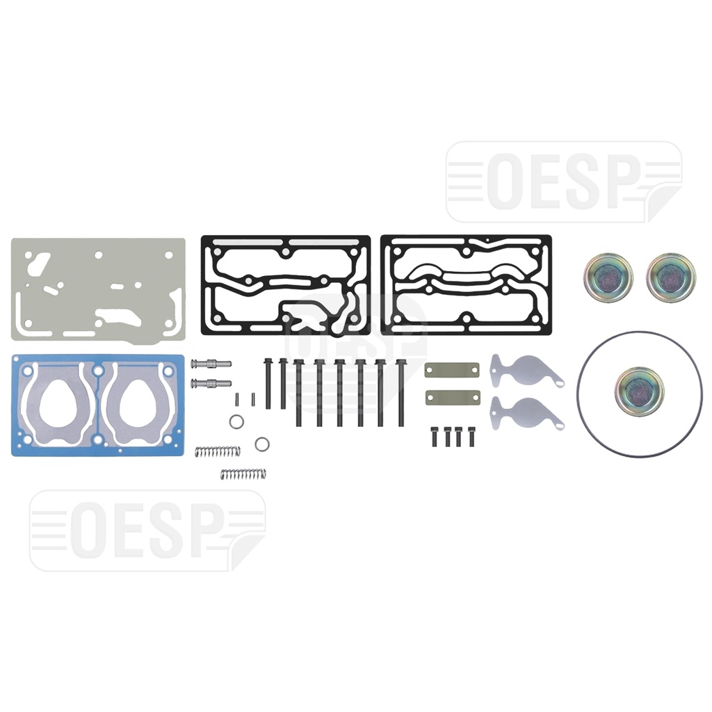 REPAIR KIT WITH BUSHING & PLATE, COMPRESSOR