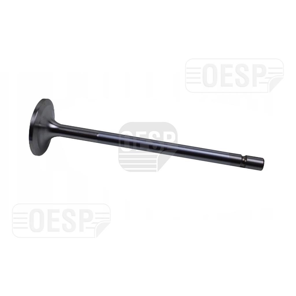 MOTOR KLEP INLAAT NIEUW MODEL OM 906 (A9060500326)