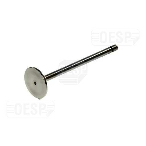 [OE_20520280100] INTAKE VALVE