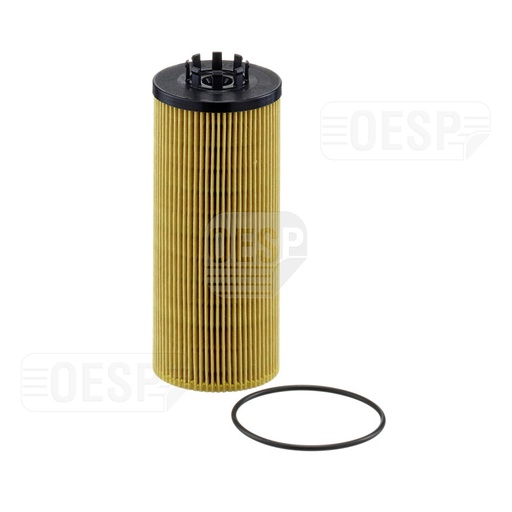 [1093605] OIL FILTER (E181H D252)