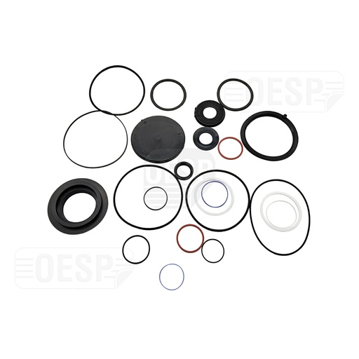 [21219953] STEERING BOX REPAIR KIT