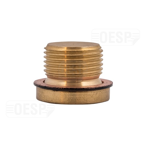 [1141002] OLIE CARTER PLUG