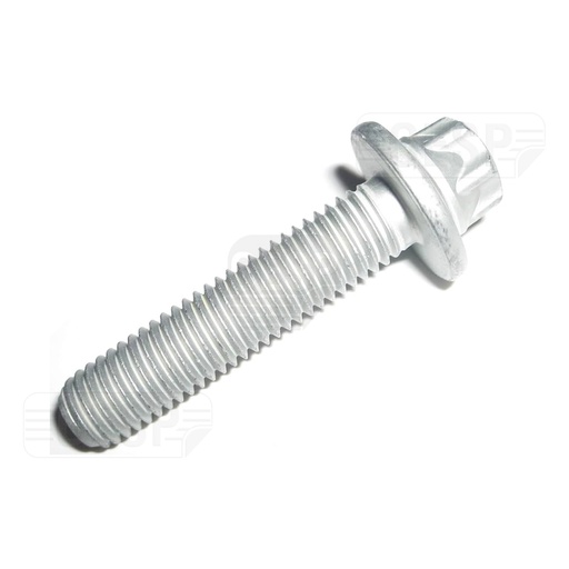 [1141006] OIL SUMP SCREW