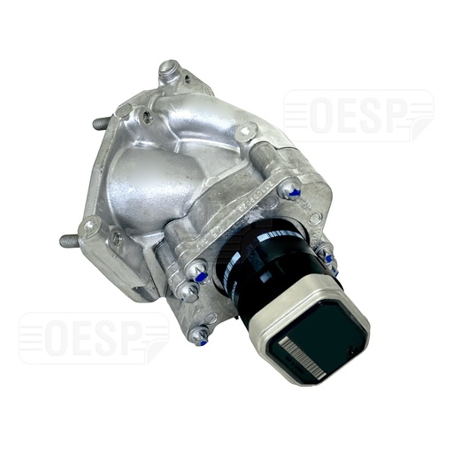[PER_724809660] EGR VÁLVULA