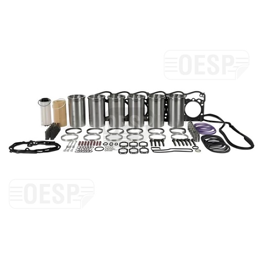 [D1993212] ENGINE OVERHAUL KIT