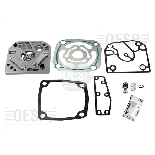 [1706055 10] AIR COMP CYLINDER HEAD PLATE KIT (W |  VALVE)