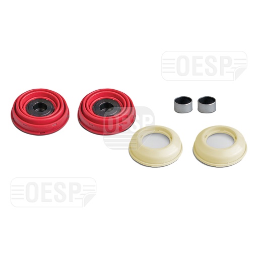 [0422258] PISTON POUSSOIR & SEALS KIT MP2