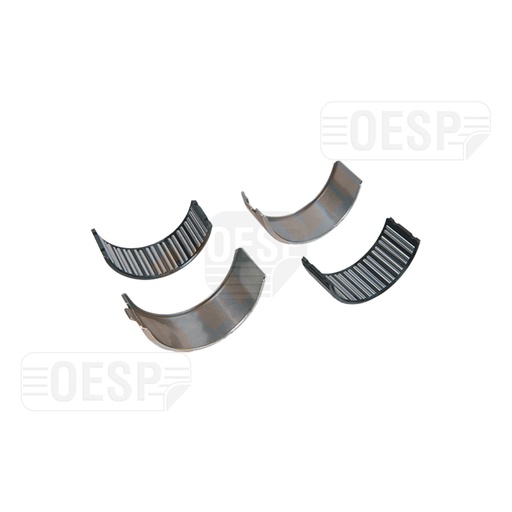 [0423051] ROLLER BEARING 