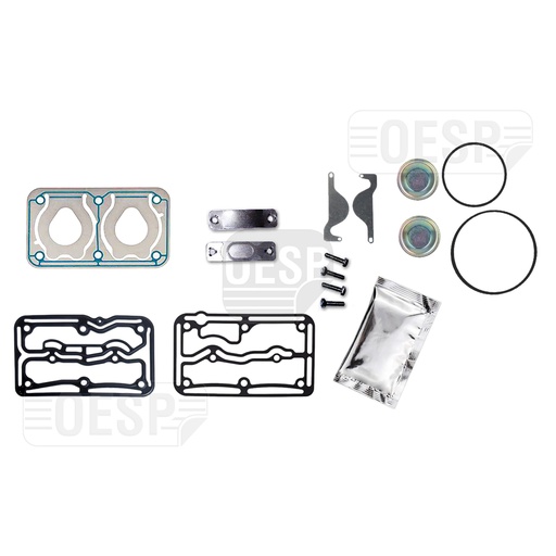 [3202162 00] REPAIR KIT W/O BUSHING, COMPRESSOR