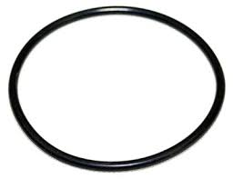 [A0239976448] NOZZLE ORING