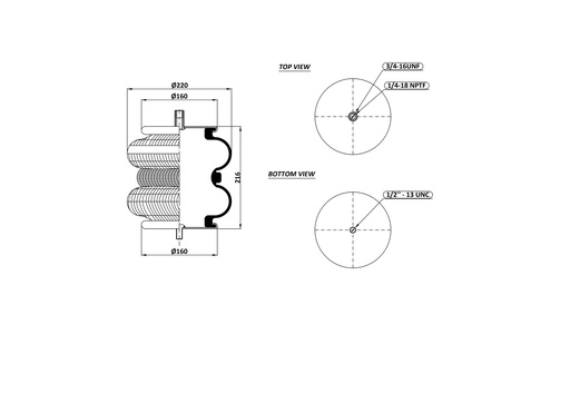 [9243118/2] 2B 220-09  Double Convulated Air Spring  (3/4-16 UNF / 1/4-18 NPTF) / 1/2-13 UNC 